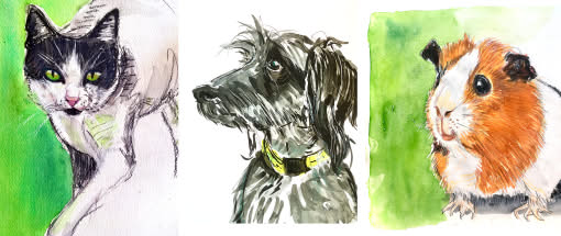 After Work: Tierzeichnen für Einsteiger