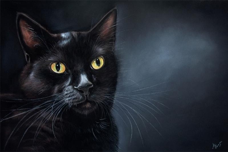 Tiere in Pastell