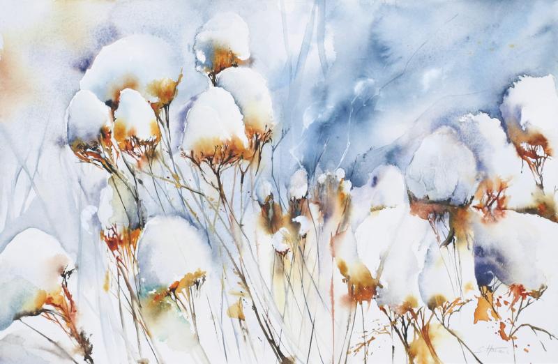 Schönheiten der Winternatur